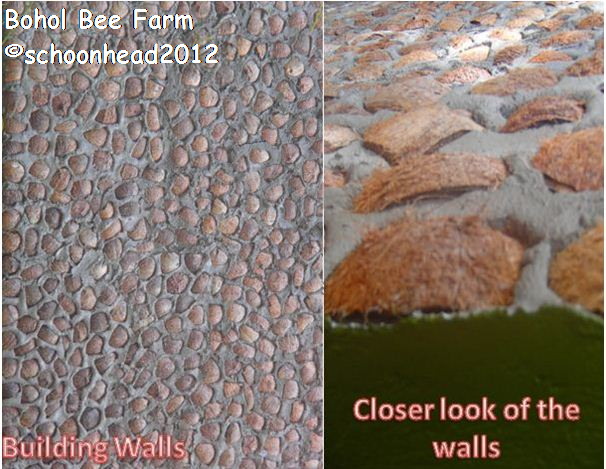 Bohol Bee Farm Walls